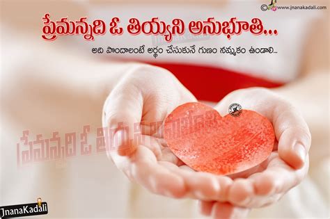 bets meaning in telugu|best meaning in Telugu .